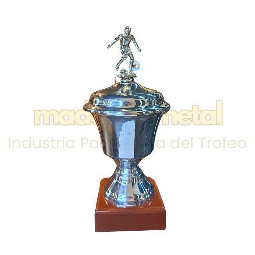 Imagen de Copa de metal con tapa - M5.390